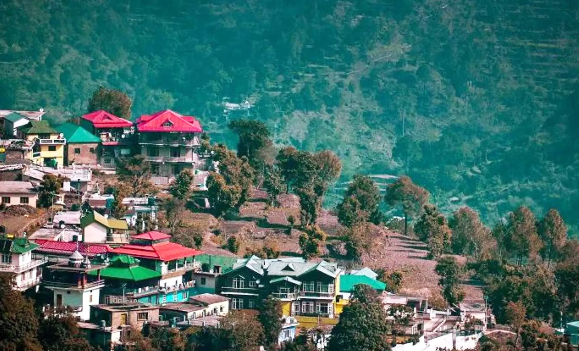 kasauli-shimla-tour