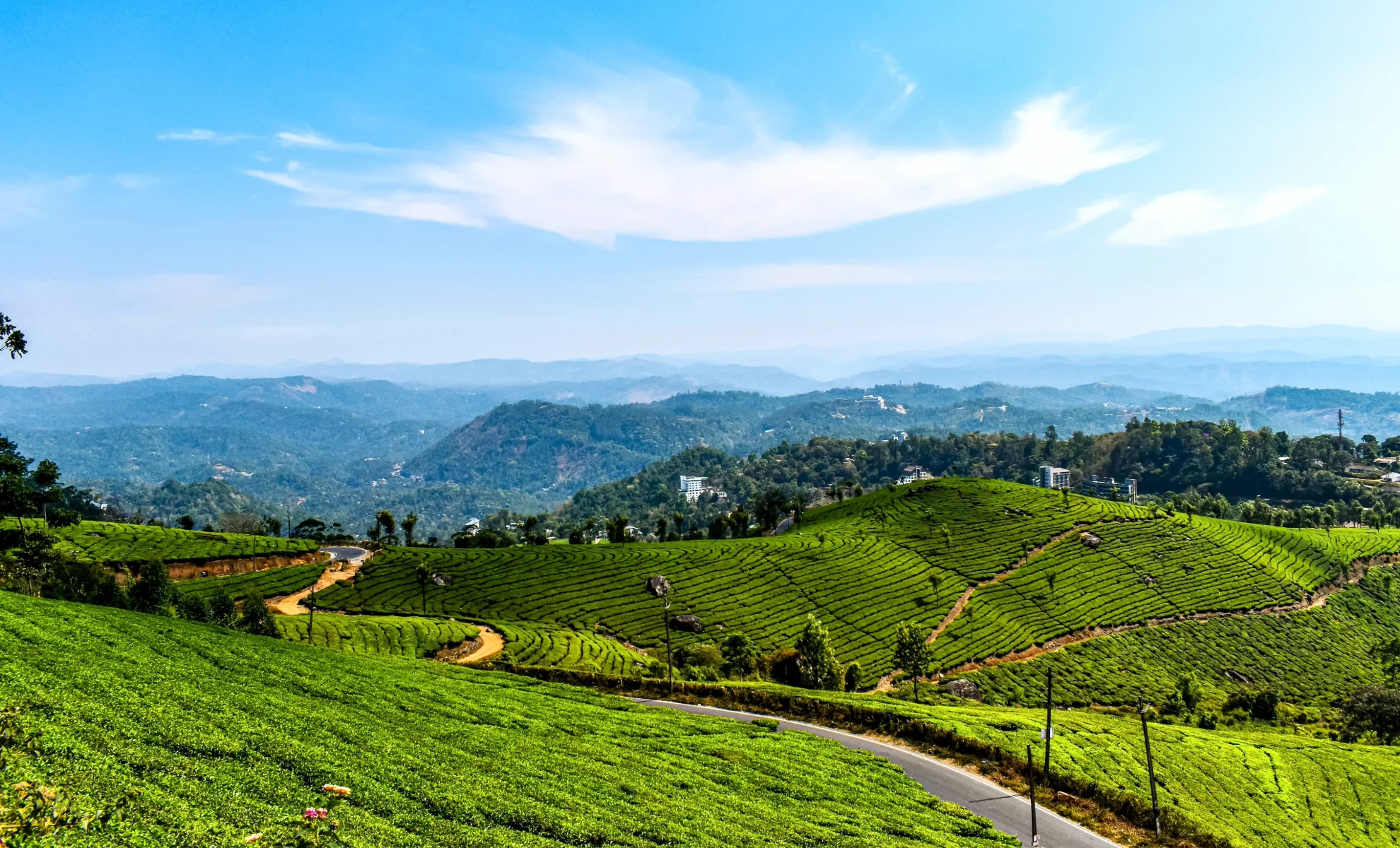 Munnar Thekkady Pariyar Alleppey Kovalam Tour Package