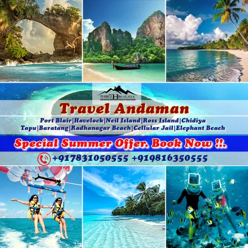 Best Festive Offer on Tour Package