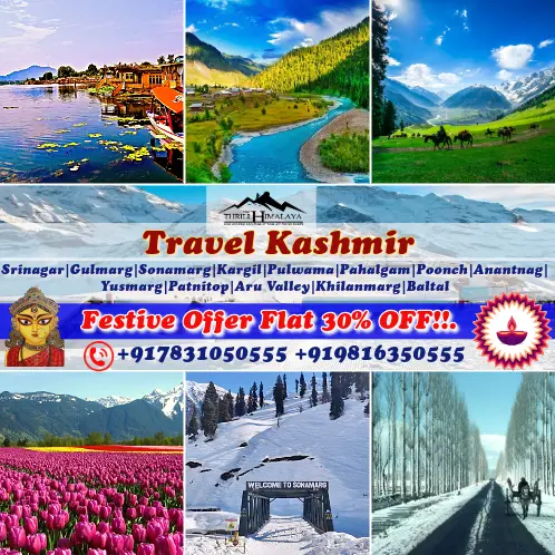 Best Festive Offer on Tour Package