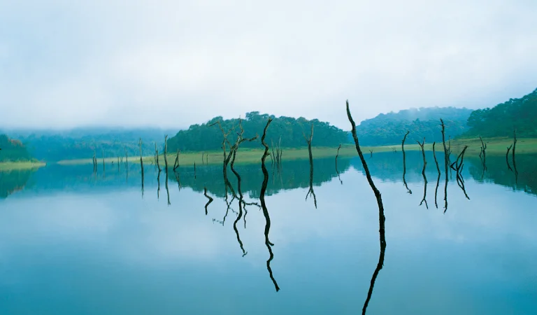 Periyar Lake