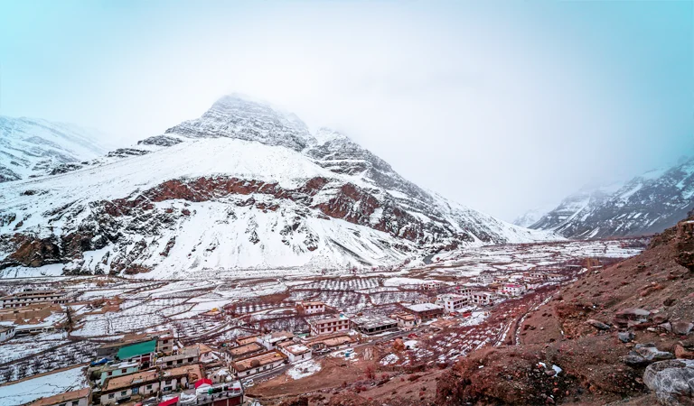 kaza