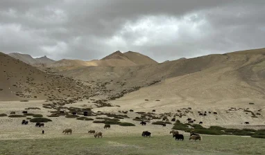 Ladakh Umling La Pass Tour Package